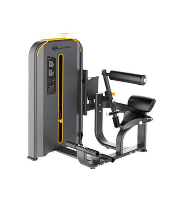 Back Exercise Machine in Gym - Verdure Wellness